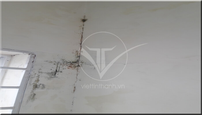 Sơn chống thấm